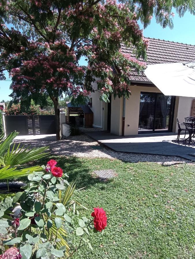 L'Albizia Gite Climatise St Maurice Saint-Maurice-en-Riviere Экстерьер фото